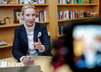 Musk interviews German far-right frontwoman Alice Weidel