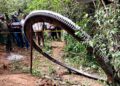 A Glowing Metal Ring Crashed to Earth. No One Knows Where It Came From