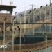 US moves 11 Guantanamo Bay detainees to Oman
