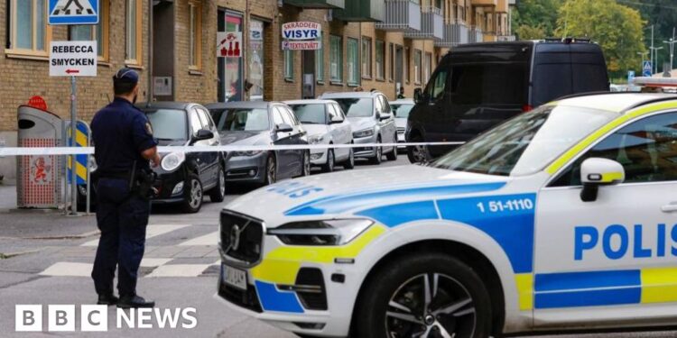 Swedish plan to remove citizenship from people seen as threat to state