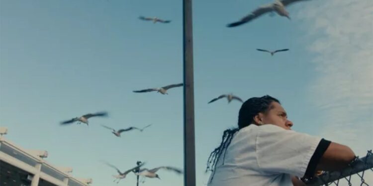 A Vibrant Drama in the Dominican Bronx