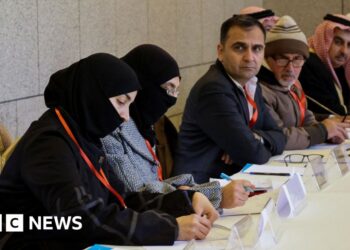 Syria dialogue conference a ‘historic opportunity’, Sharaa says