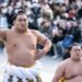 Mongolian sumo wrestler appointed grand champion