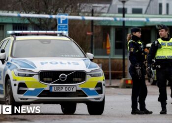 What do we know about the suspect?