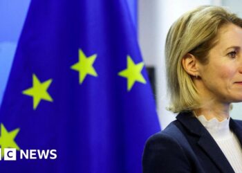 EU’s Kaja Kallas says Europe must spend more on defence