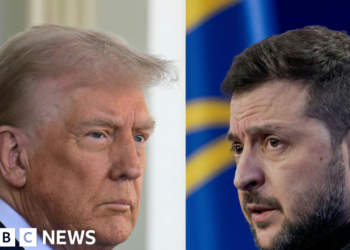 Zelensky to meet Trump in Washington to sign minerals deal