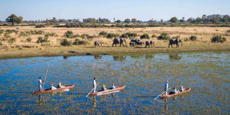How Northern Botswana’s Evolving Landscape Became a Haven for Wildlife