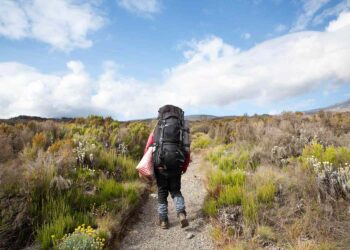 What It’s Like to Hike Mount Kilimanjaro