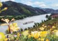 10 Best Danube River Cruises