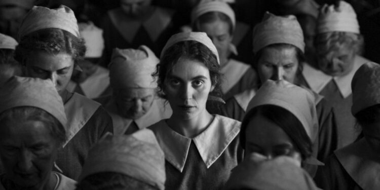 International Oscar Film Nominees Reflect Global Turmoil