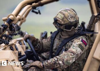 UK army ‘so run down’ it could not lead Ukraine peace force, says former chief
