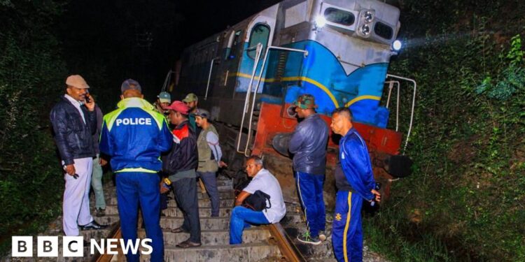 Six elephants dead after being struck by train in Sri Lanka