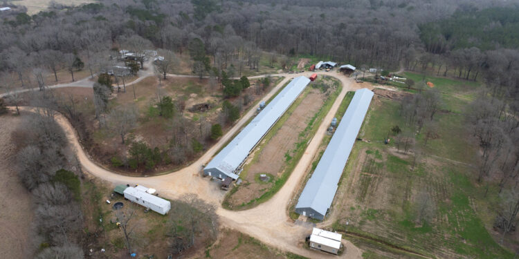 Mississippi Sheriff Used Inmate Labor for Family Farm