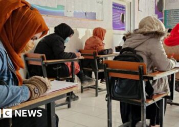 Afghan women students facing forced return after USAID cuts get temporary reprieve