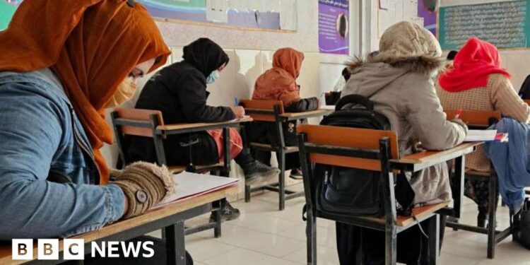 Afghan women students facing forced return after USAID cuts get temporary reprieve