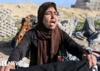 Ceasefire plan back on table