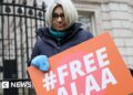 ‘High death risk’ for UK-Egyptian mother on hunger strike over jailed son