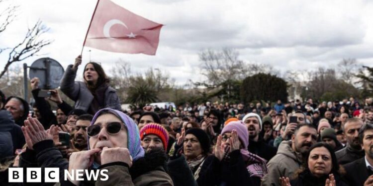 Turkey arrests dozens for online posts after Erdogan rival held