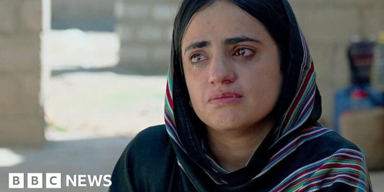 A life searching rows of unclaimed bodies for missing brothers and sons