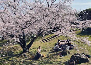 You Can Taste the Four Seasons of Japan at This All-inclusive Culinary Retreat in Kyushu