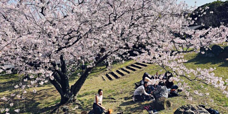 You Can Taste the Four Seasons of Japan at This All-inclusive Culinary Retreat in Kyushu