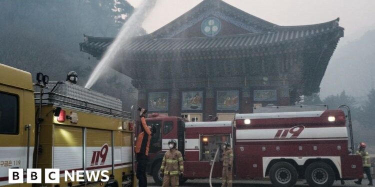 Race to save lives and ancient artefacts as wildfires rage