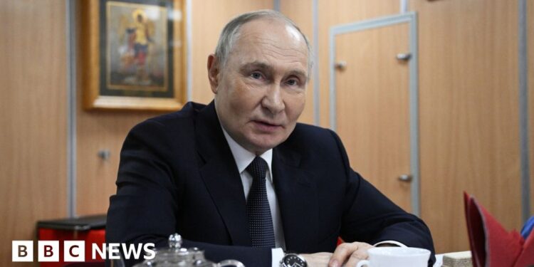 Putin floats idea of UN-led government in Ukraine