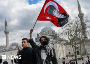 Erdogan condemns Turkey protests as dozens arrested