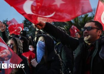 Erdogan calls Turkey protests over Imamoglu arrest ‘evil’