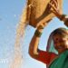 Agriculture is centre stage US-India trade showdown