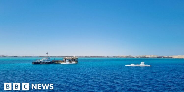 Six people dead after tourist submarine sinks in Egypt