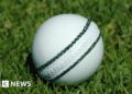 Ban on use of saliva to shine cricket balls lifted