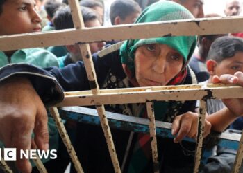 Gaza bakeries shut and painkillers on ration after month of Israeli blockade