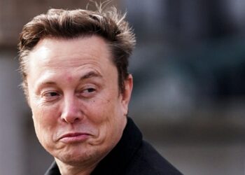 Musk vs Navarro: Is the Trump team divided on tariffs? | Donald Trump News