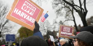 How will Harvard and other universities survive Trump’s funding cuts? | Conflict News