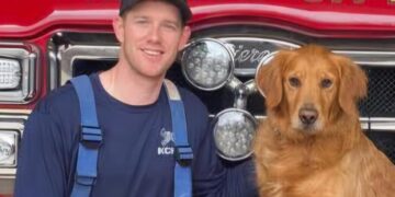 Patient Aboard an Ambulance Fatally Stabs a Firefighter Paramedic