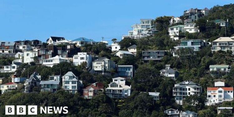 British couple’s death probed as murder-suicide