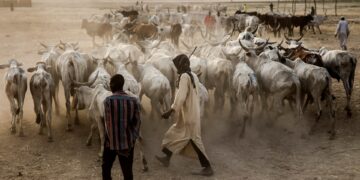 Herder-farmer clashes in Nigeria kill at least 17 | Politics News