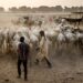 Herder-farmer clashes in Nigeria kill at least 17 | Politics News