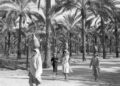 The Hawaii of Israel: How Trump legitimised a longstanding Israeli vision | Israel-Palestine conflict