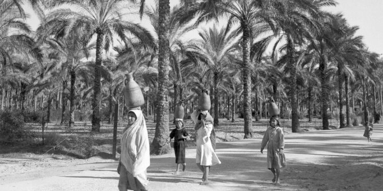 The Hawaii of Israel: How Trump legitimised a longstanding Israeli vision | Israel-Palestine conflict