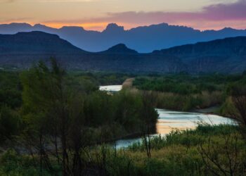 One Man’s Quest to Reforest the Rio Grande Valley