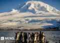 How island of penguins and seals ended up on list