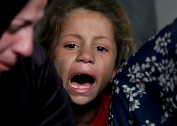 Will Israel’s starvation policy work in Gaza? | Gaza