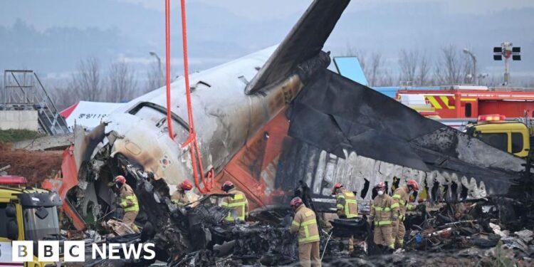 Jeju Air crash victims’ families file criminal complaint