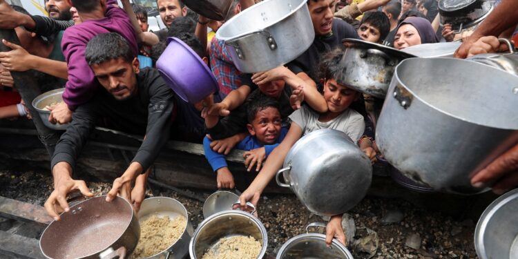 Global hunger hits new high amid conflict, extreme weather: UN | News