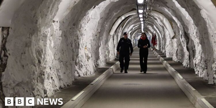 Deep inside Norway mountain, Nato allies train for Arctic war