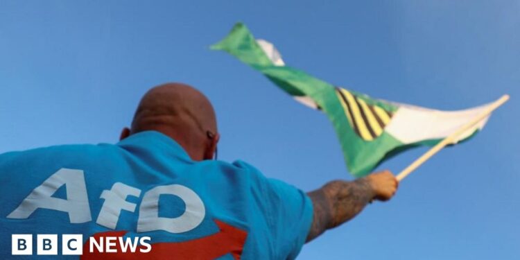 AfD classified as extreme-right by German intelligence