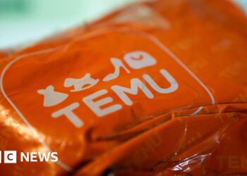 Temu’s Chinese owner sees profits plunge as tariff war bites