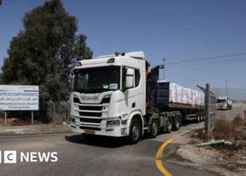 Israel allows aid in after 11-week blockade but UN calls it ‘drop in ocean’